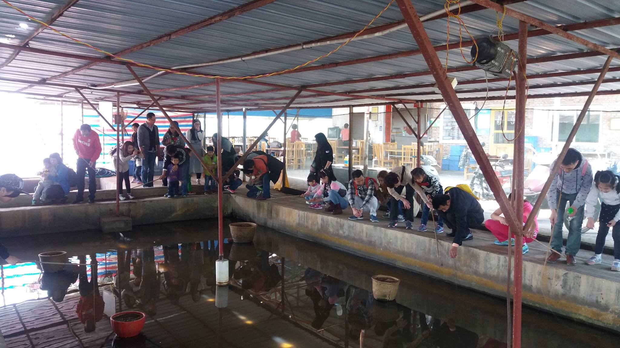 12419159 837173229727488 4339213344941729428 o