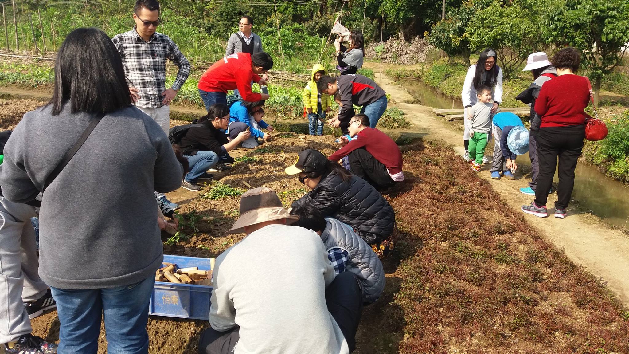 12719514 837173246394153 8168774323177432594 o