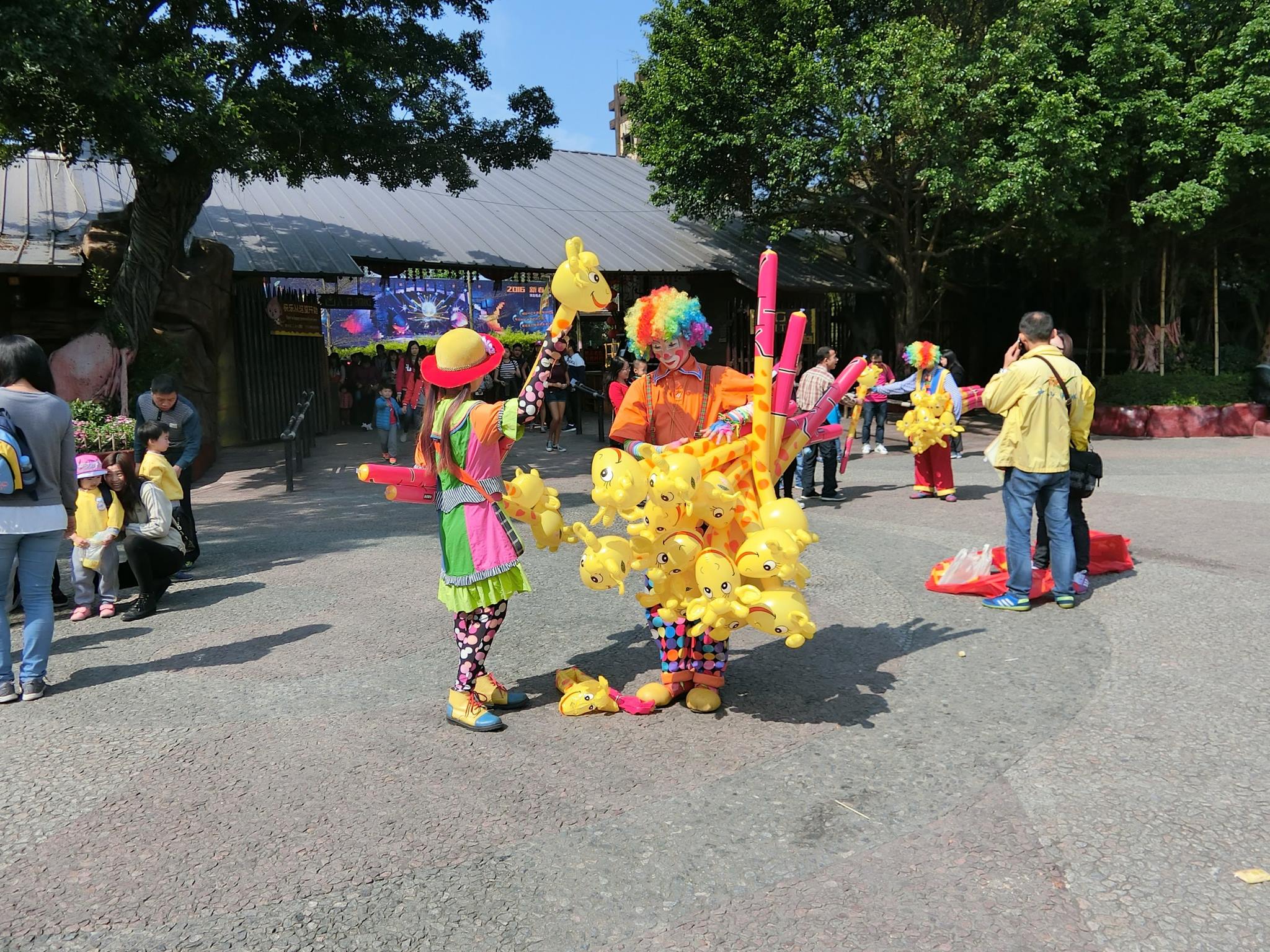 12916227 837175209727290 5857560687239985042 o